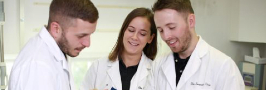 Dental Lab